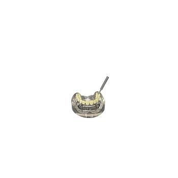Implant eitim modeli (alt ene)