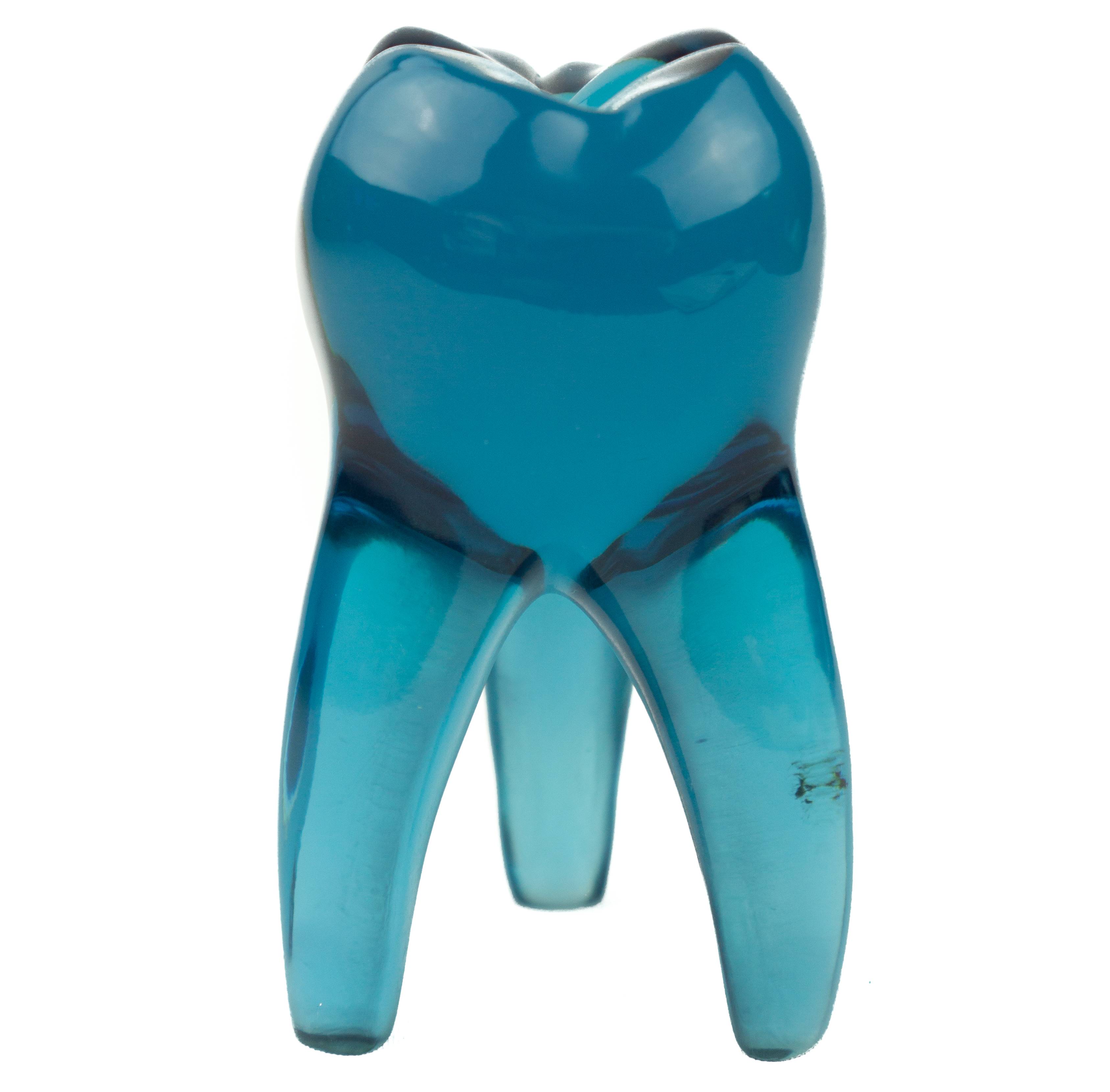 Mavi Molar Di Biblo