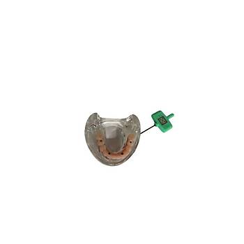 All-One-Four Implant Eitim Modeli Alt ene