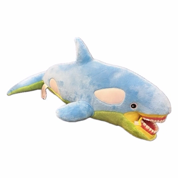 Pelu Dolphin Di Fralama Eitim Modeli