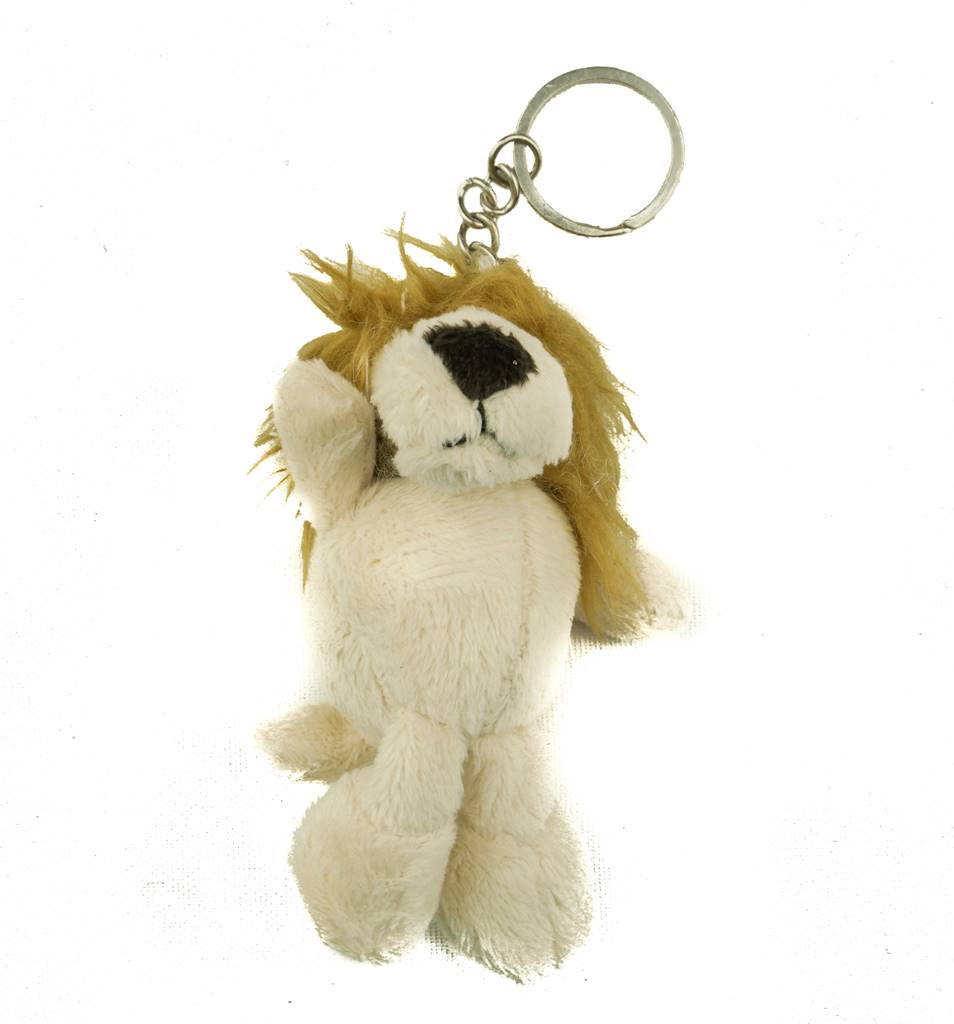 Aslan Anahtarlk