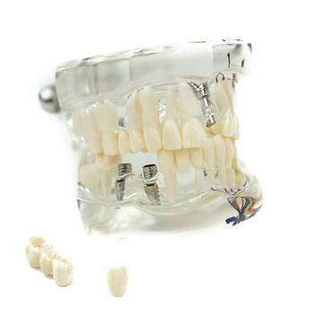 Cerrahi Model Implant & Kpr Eitim Modeli